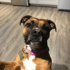 Meet your Posher, Corey